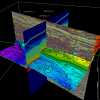 CoViz 4D