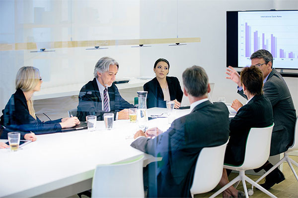 Consulting Services